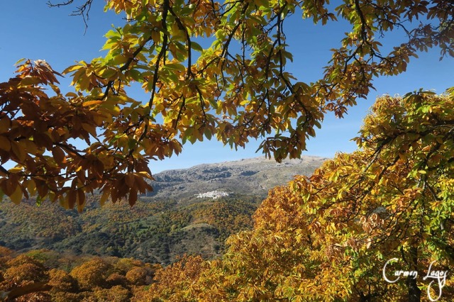 Cartajima 05. Photo © Carmen Lagos Ortiz